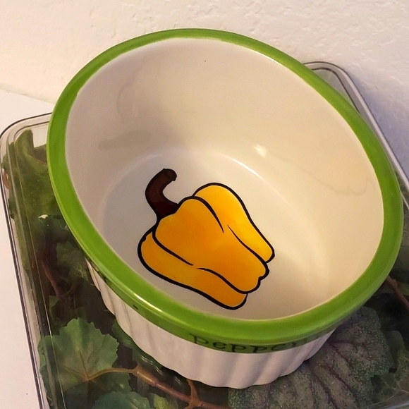 Certified International 4 Pepper Casserole Dishes by Judy Phipps - Picture 9 of 13